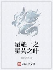 星耀一之星芸之叶