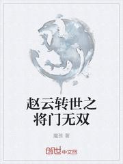 赵云转世之将门无双