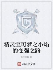 精灵宝可梦之小焰的变强之路