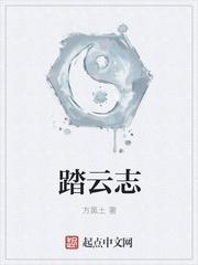 踏云志