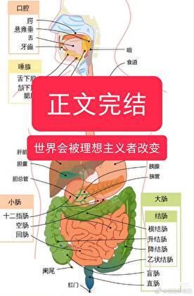 人为什么要上班