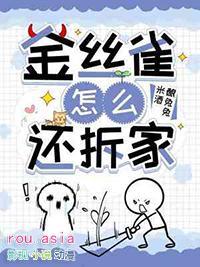 金丝雀怎么还拆家