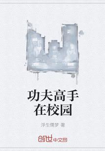功夫高手在校园