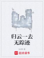 归云一去无踪迹