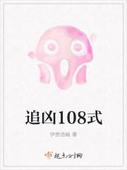 追凶108式